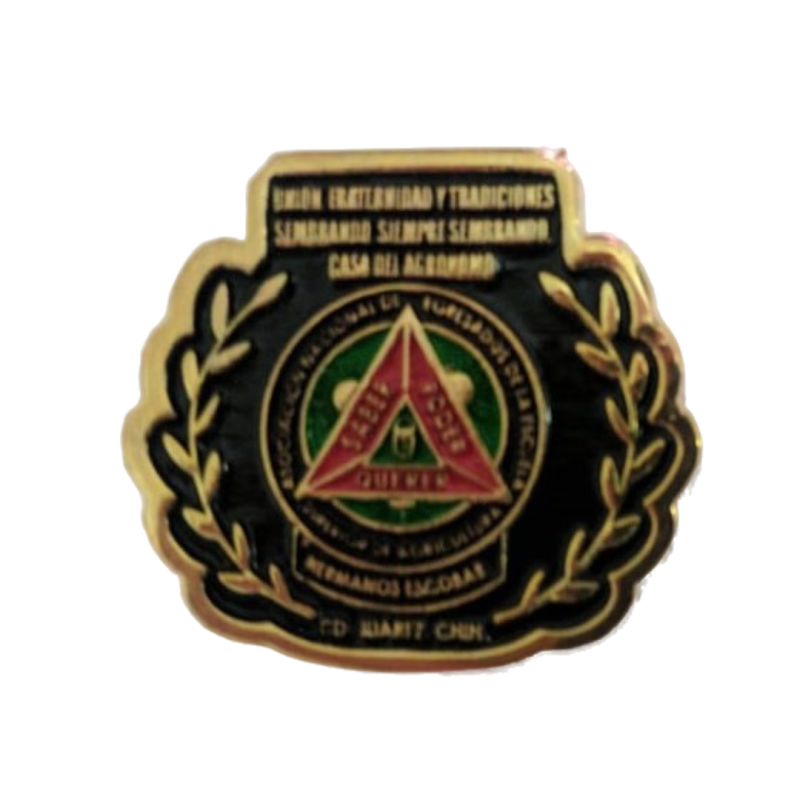 Pin Logo a Color