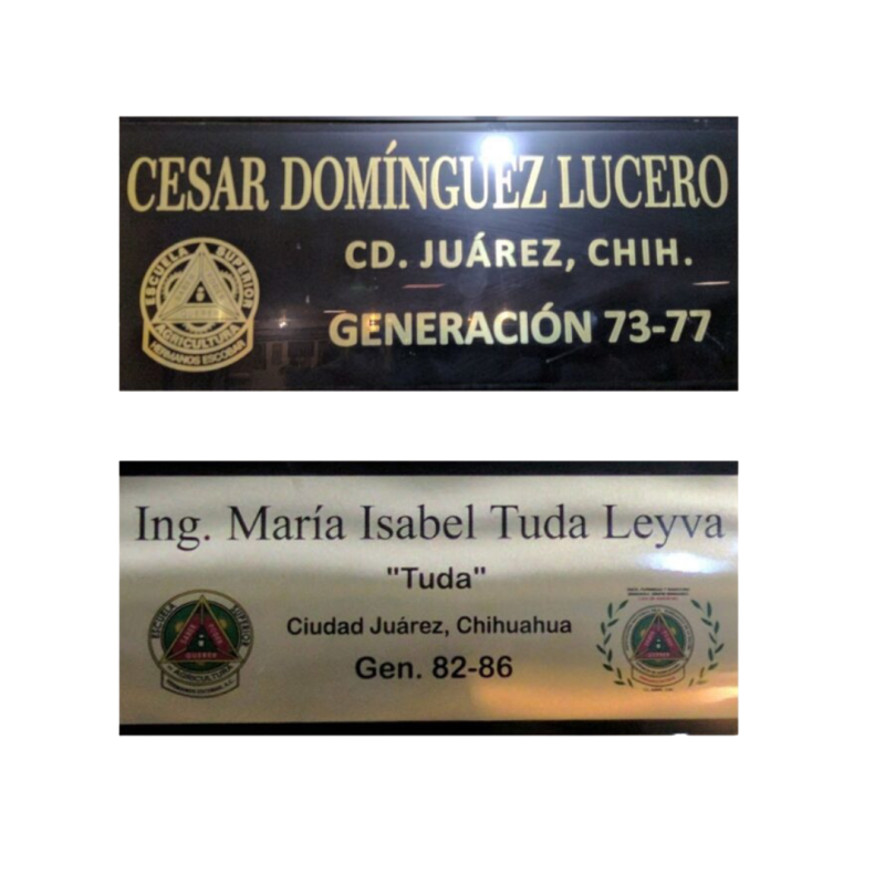 Placas Generacionales