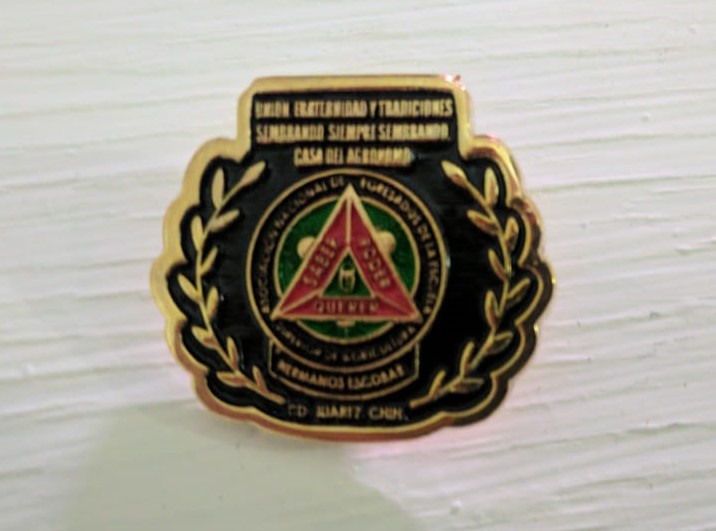 pin logo a color