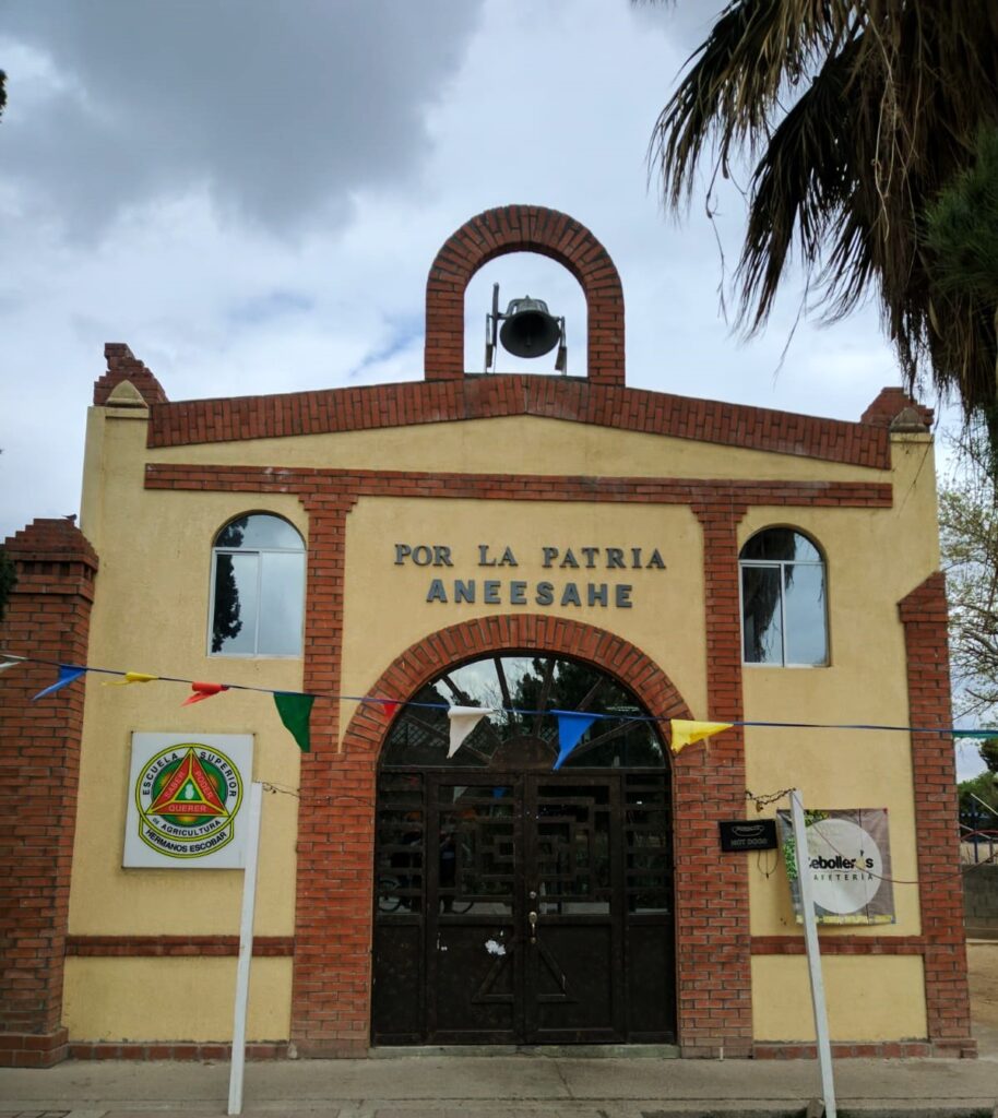 CAFETERIA CEBOLLEROS