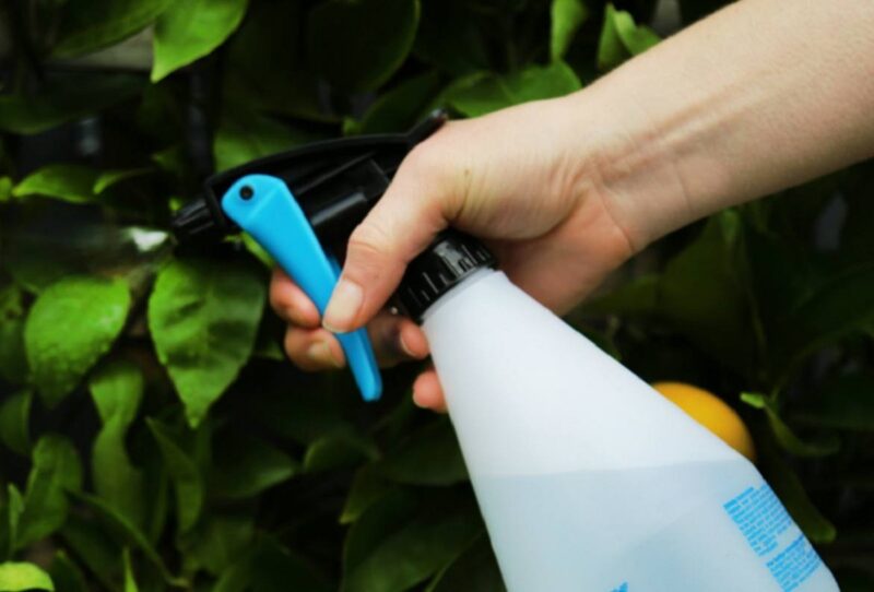 INSECTICIDA TOXON 90% P.S.